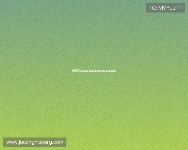 6686网页版快速登录入口操作指南及账户安全使用全攻略